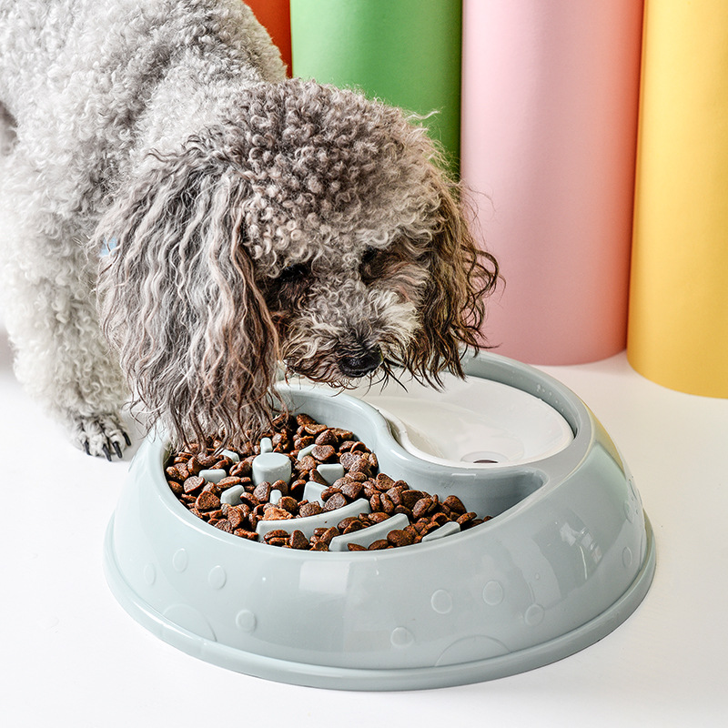 Nice Easy Cleaning Puppies Feeder Bowl