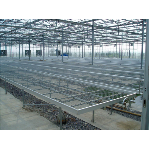 Agriculture Seed rolling bench For Greenhouse Manufacturers and Agriculture Seed rolling bench For Greenhouse Suppliers