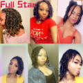 Full Star Pre-twisted Bomb Spring Twist Hair 10 inch Passion Twists Crochet Hair 15 Roots Synthetic Braiding Hair Extensions