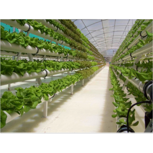 Agricultural Hydroponic NFT Planting Growing System