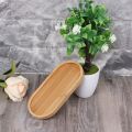 Oval Shape Bamboo Wood Saucer Plant Tray Mini Plant Flower Pot Stand Favor Succulent Pot Tray Simple Elegant Design Home Balcony