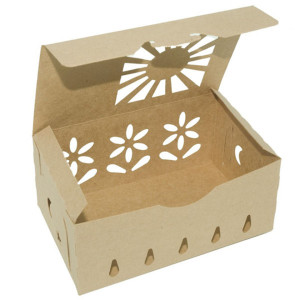 Natural Kraft Paper Containers for Produce Protection