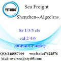 Shenzhen Port Sea Freight Shipping To Algeciras