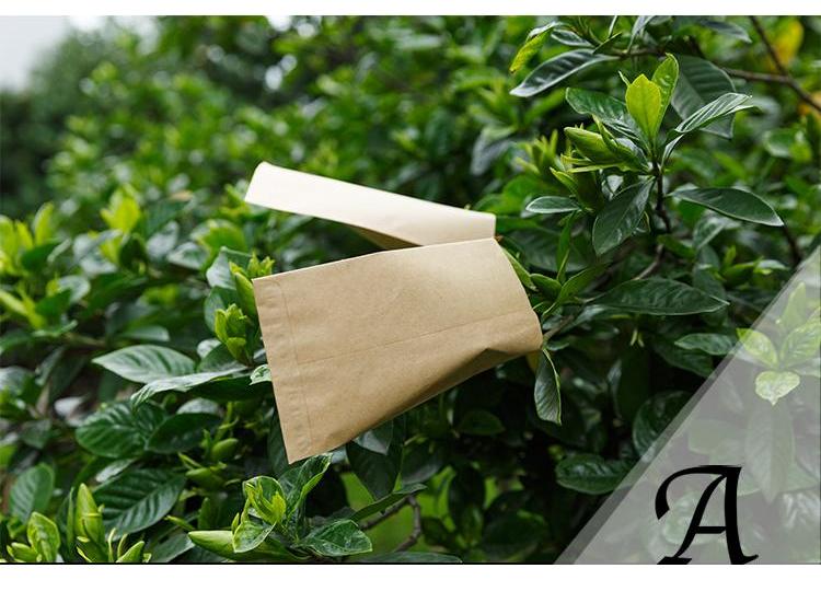 100pcs LxW: 12x20cm kraft paper brown seed bag crop pollination isolation sack seed packaging/grow/protective bags