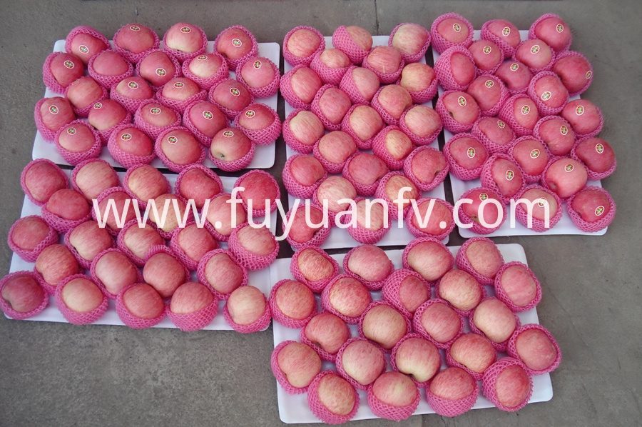 新鲜的富士苹果