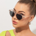 High Quality Custom Double Bridge Fashion Women And Man Unisex PC Frame Sunglasses