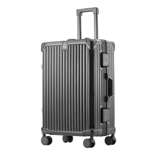 Multifunctional 20-Inch Aluminum Frame Trolley Luggage Case