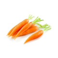 Famous brand oroaroma Carrot oil natural aromatherapy highcapacity skin care massage spa base carrier Carrot essential oil