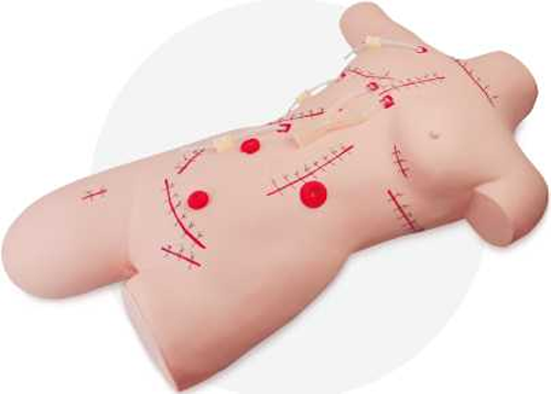 Surgical Suturing and Bandaging Model