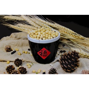 Soy Foods Products