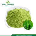 Instant Wheatgrass Juice Powder Good Water Soluble