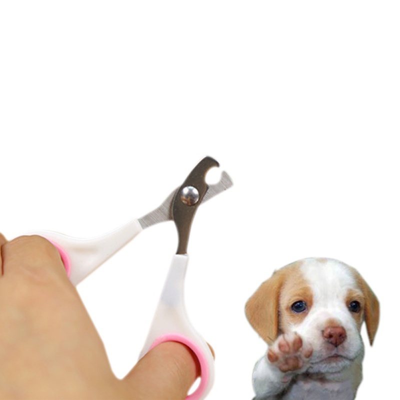 Multi-colors Pet Animal Dog Cats Bird Toe Claw Stainless Steel Grooming Nail Clippers Scissors Trimm Good Quality Dog Supplies