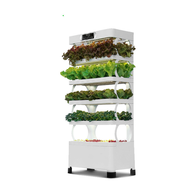 Hydroponic Home Used Vegetables Plant Planter