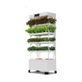 Vertical indoor garden use grow smart hydroponic system
