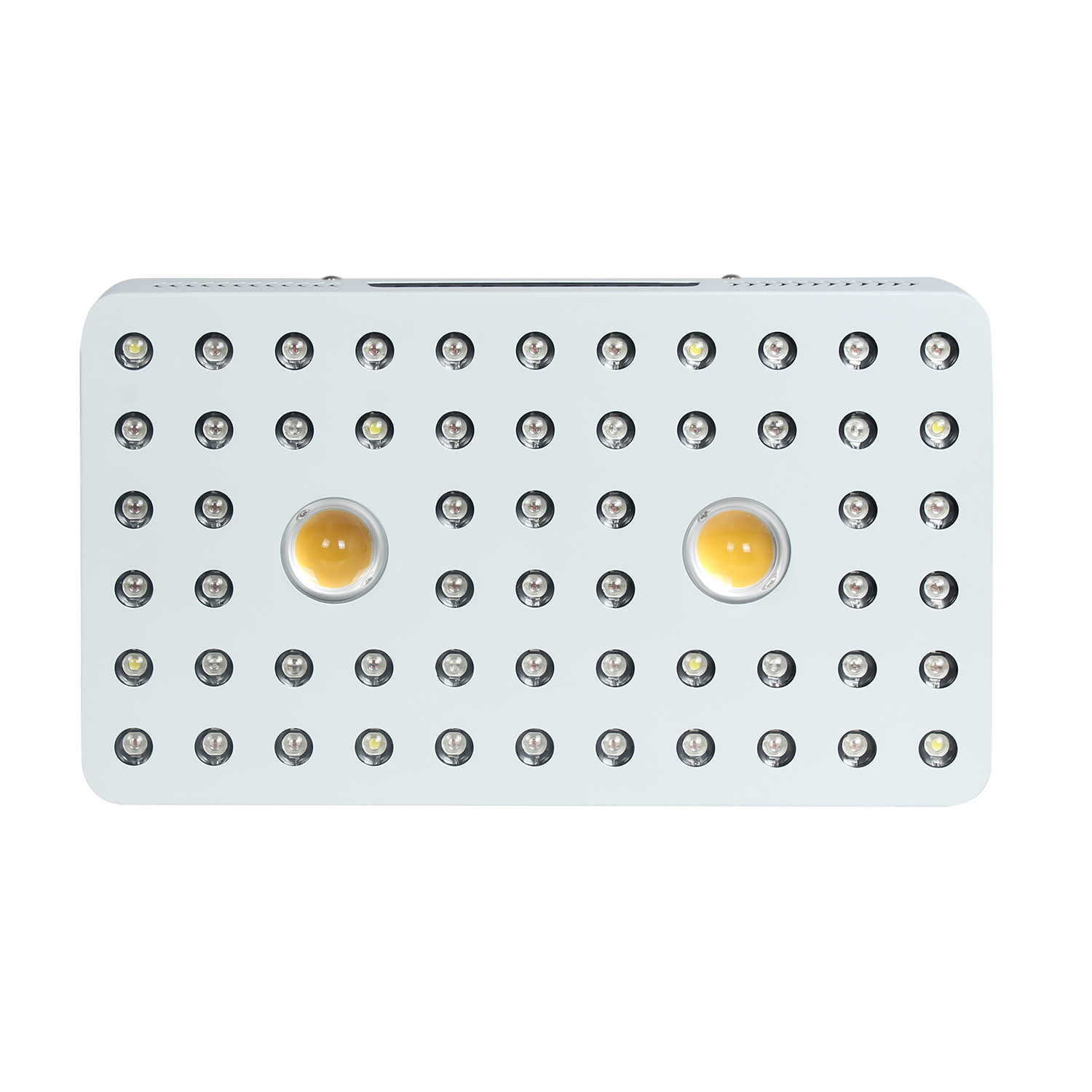 Phlizon COB Series 1000W LED Plant Grow Light China ...