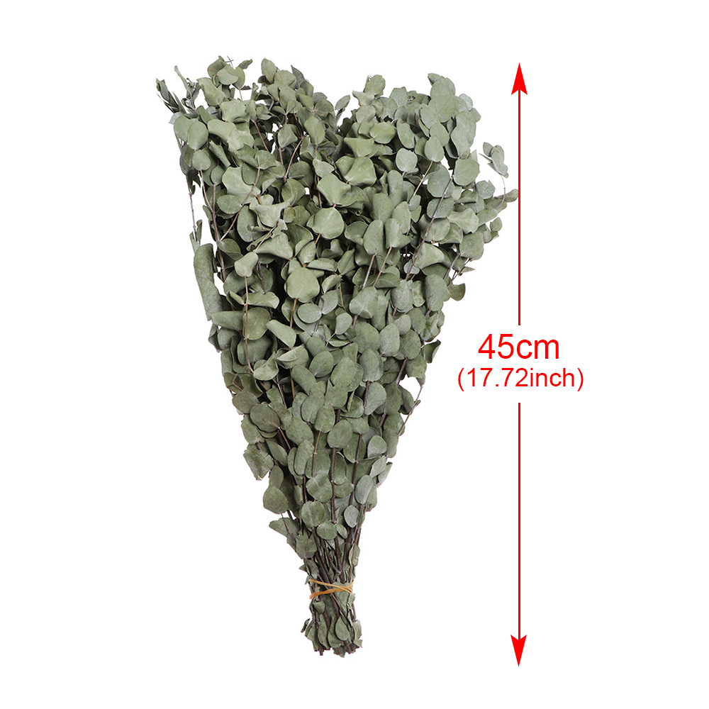 Real Dried Eucalyptus Branches Preserved Fresh Flower Bouquet Nature Green Plant Leaves For Garden Home Wedding Decoration