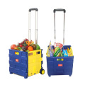Luggage Trolley Supermarket Folding Shopping Cart Folding Cart Storage Box Trolley with Cover Small Car Trunk Hot
