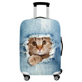 C   Luggage Cover