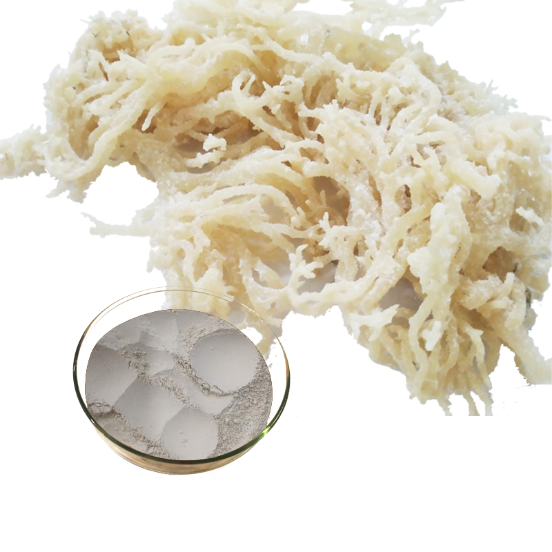 Irish Sea Moss Powder Jpg