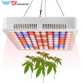 led panel grow light 600w wenyi