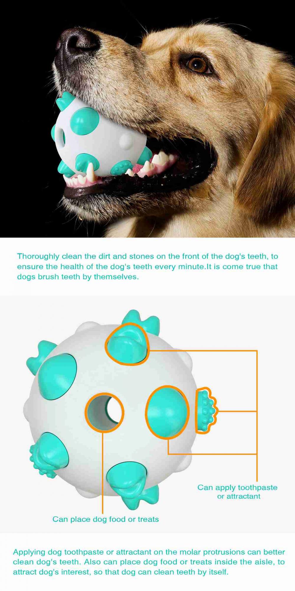 Dog Toy Amazon