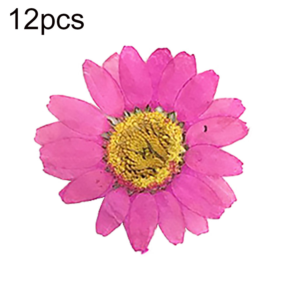 12Pcs Pressed Dried Natural Flower Epoxy Resin Nail Craft DIY Phone Decoration Artificial & Dried Flowers