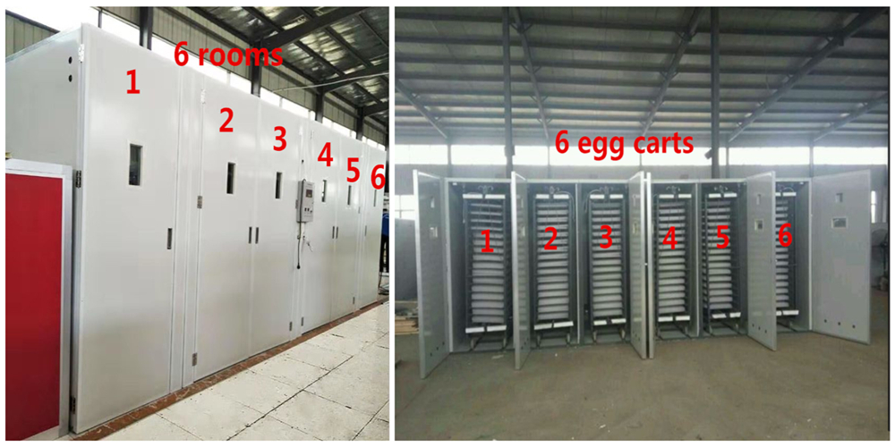 Incubator pic 2