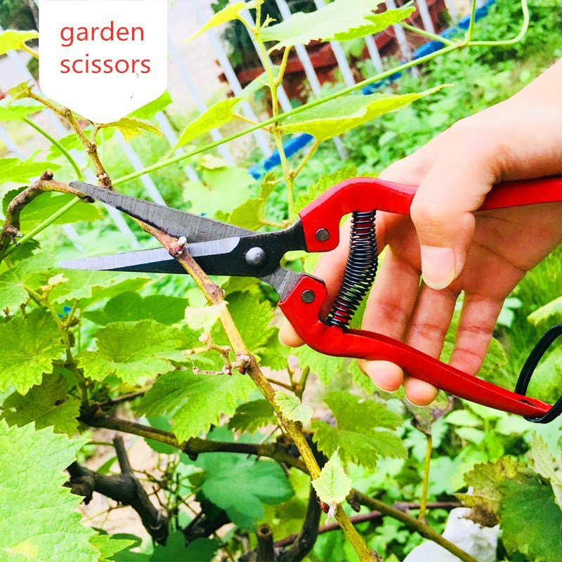 Sharp Pruning Shear spring Scissor Steel Grafting Bonsai Tool Knife Fruit Tree Flowers Branch Pruner Trimmer Garden cutting Tool