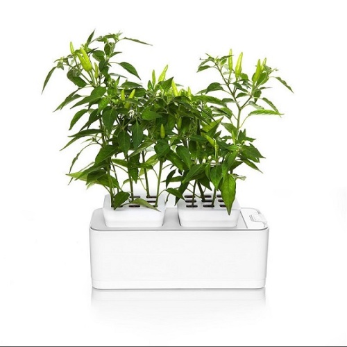 Indoor Mocle Flower Pot Grow System Manufacturers and Indoor Mocle Flower Pot Grow System Suppliers