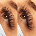 12 Rows Premade Wide Fans Volume Eyelashes Extension 5D/6D Thickness 0.07 C/D Curl Middle Stem Heat Bonded Natural Lash