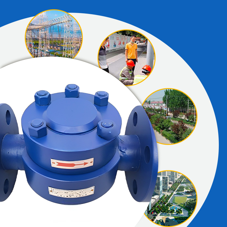 Disc Type Steam Trap