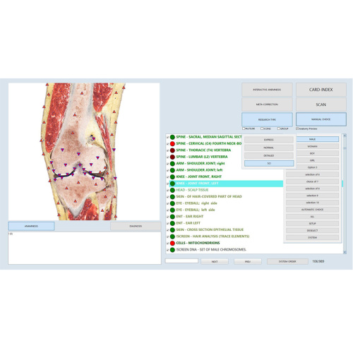 Vector nls body sub health analyzer for Sale, Vector nls body sub health analyzer wholesale From China