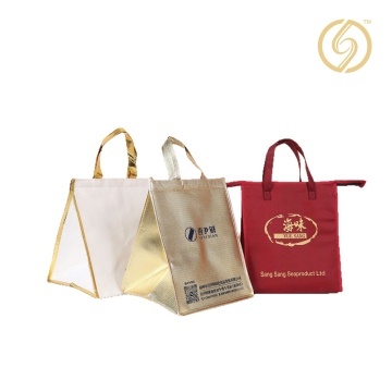 aluminum foil insulated bag-6