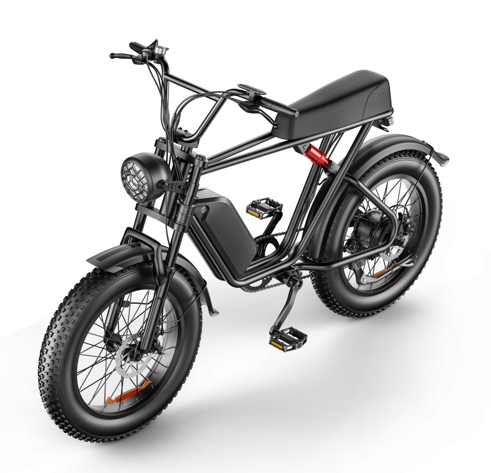 20 Inch Fat Tire Electric Bikes Motorcycle