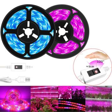 LEADLY Hand Sweep LED Grow Light Strip Full Spectrum USB Grow Light Strip 0.5/1/2/3 USB Plant Light 2835 Red Blue Planting Strip