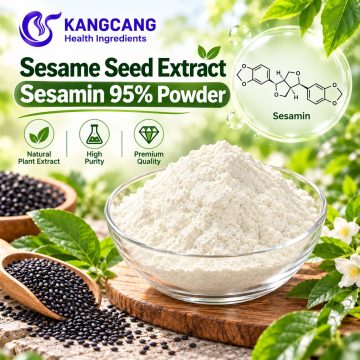 Sesame Seed Extract Sesamin 95% Powder