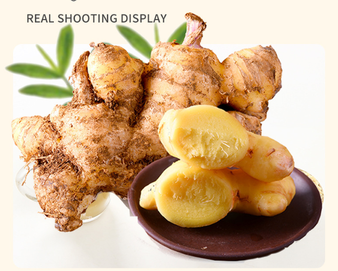 Fresh ginger 06214