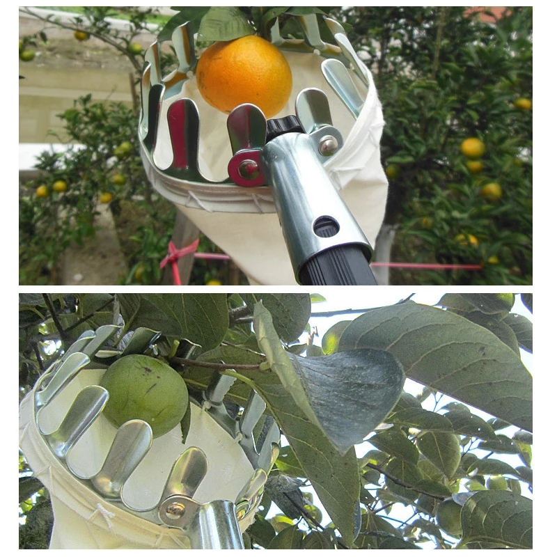 MetalFruit Picker Head Basket Portable Fruits Catcher for Harvest Picking Citrus PearGarden hardware tools