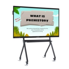 55 inch remote conference electronic interactive whiteboard School Infrared 20 Points Touch Screen Smart Board