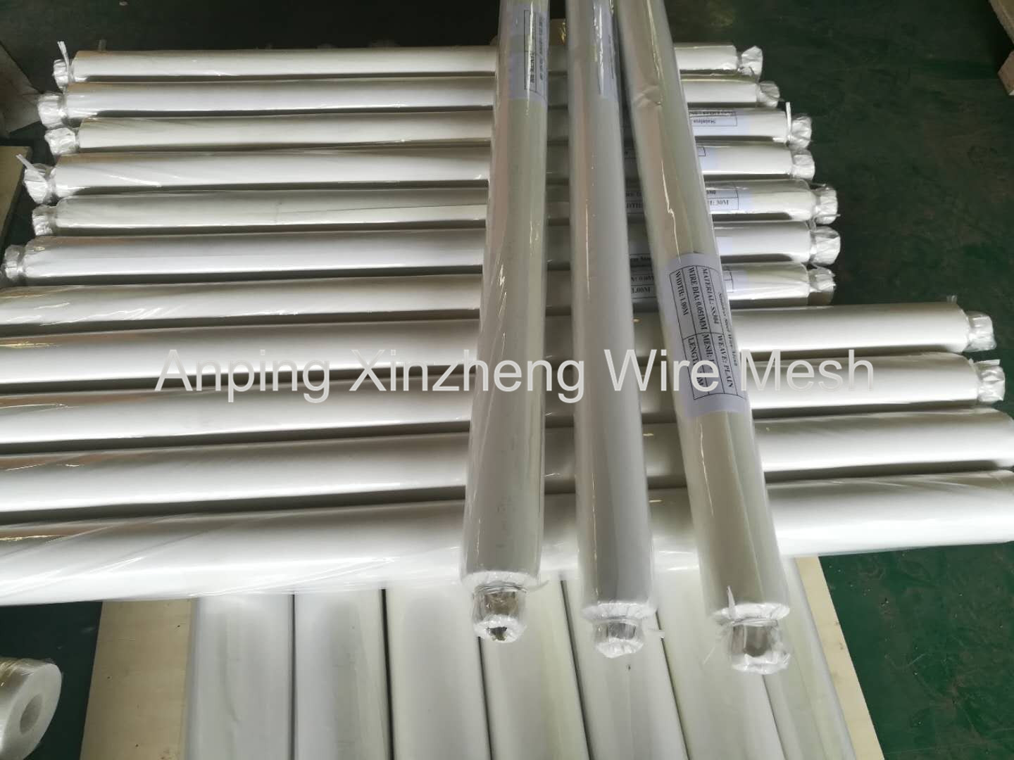 SS Wire Cloth