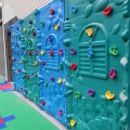 Plastic Climbing Rock Wall Stones Assorted Color for Kids Rock Climbing Wall Stones Indoor Outdoor Hand Feet Holds Grip Kits