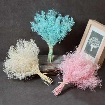 10g/Bouquet,Natural Fresh Preserved Babysbreath flower,Immortal Dried Flowers gift for Wedding Party Home Decoration accessories