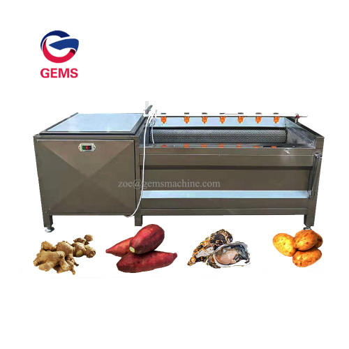 Carrot Washer Peeler Carrot Washing Polishing Machine for Sale, Carrot Washer Peeler Carrot Washing Polishing Machine wholesale From China