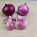 Artificial Foods & Vegetables Onion, Simulation Hot Pot Material, Side Dish Model, Onion Slice Photography Props