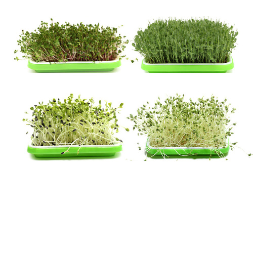 Flat PP Seed Tray plastic seed tray Manufacturers and Flat PP Seed Tray plastic seed tray Suppliers