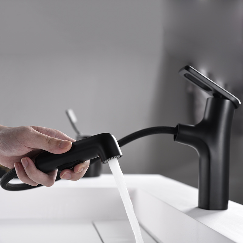 Black 360 degree turn multifunctional pull out faucet faucet 4