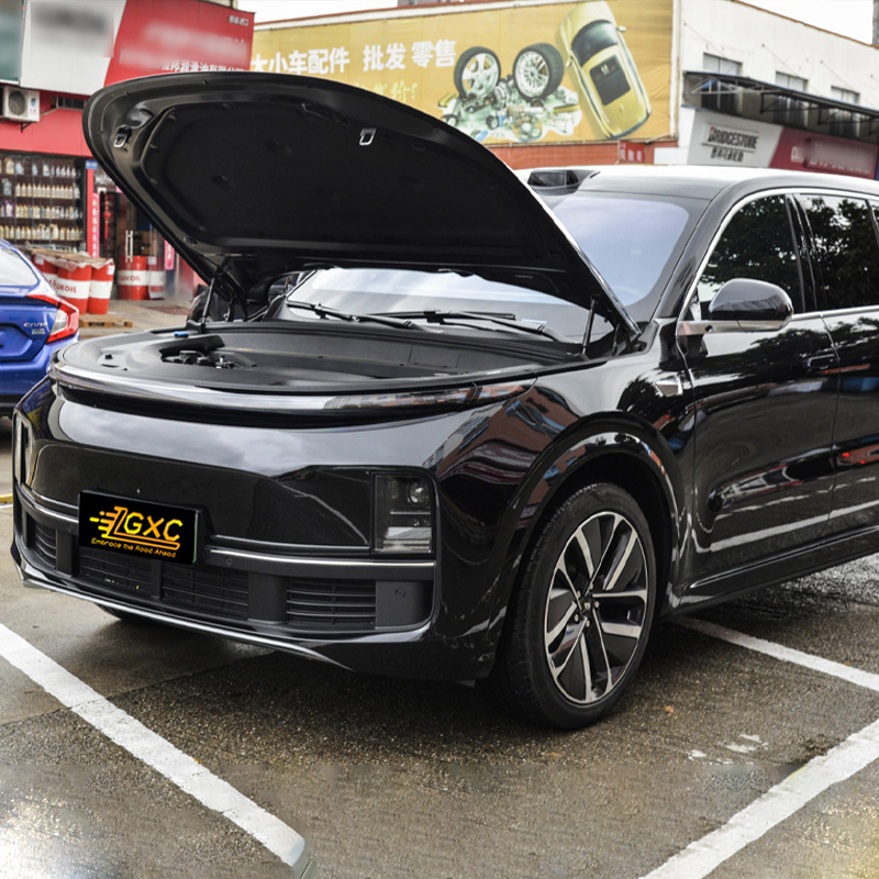 Li Xiang L9 18