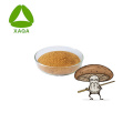 Top Quality Shiitake Mushroom Extract Lentinan 30% Powder