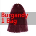 Burgandy 1 Bag
