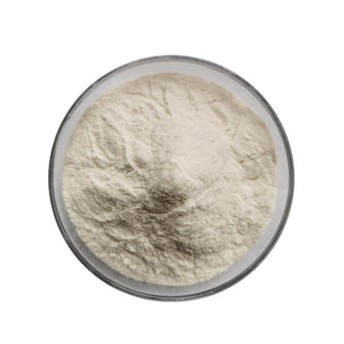 Natural Coix Seed Powder for Food & Beverage for Sale, Offer Natural Coix Seed Powder for Food & Beverage